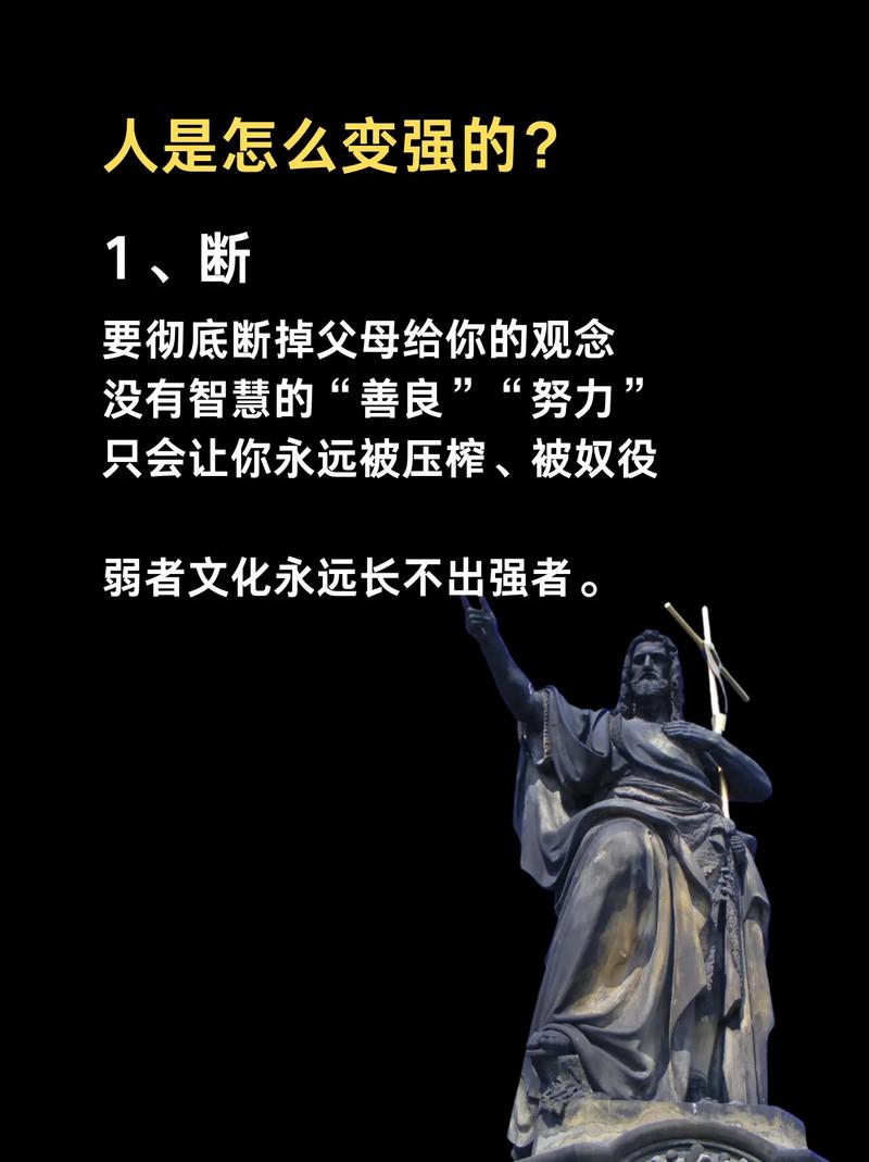 解析最强搭配组合技能让你成为真正战场强者